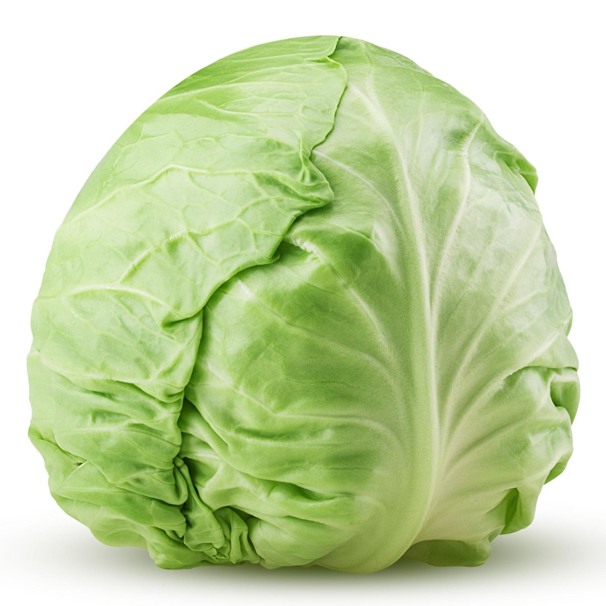 Cabbage