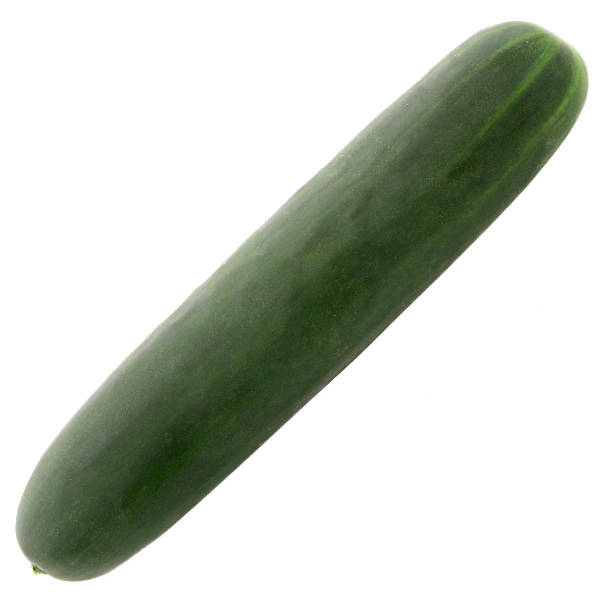 Cucumber