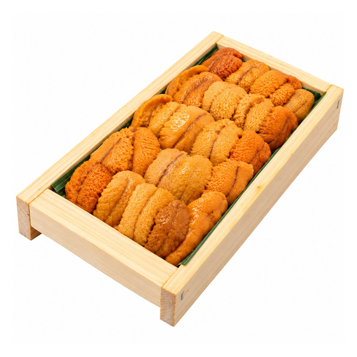 Chile Uni (Strongylocentrotus droebachiensis)