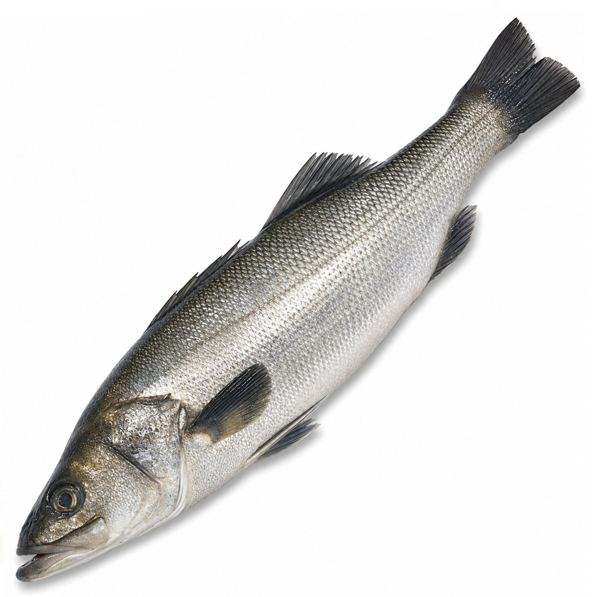 Chilean Sea Bass Fillet