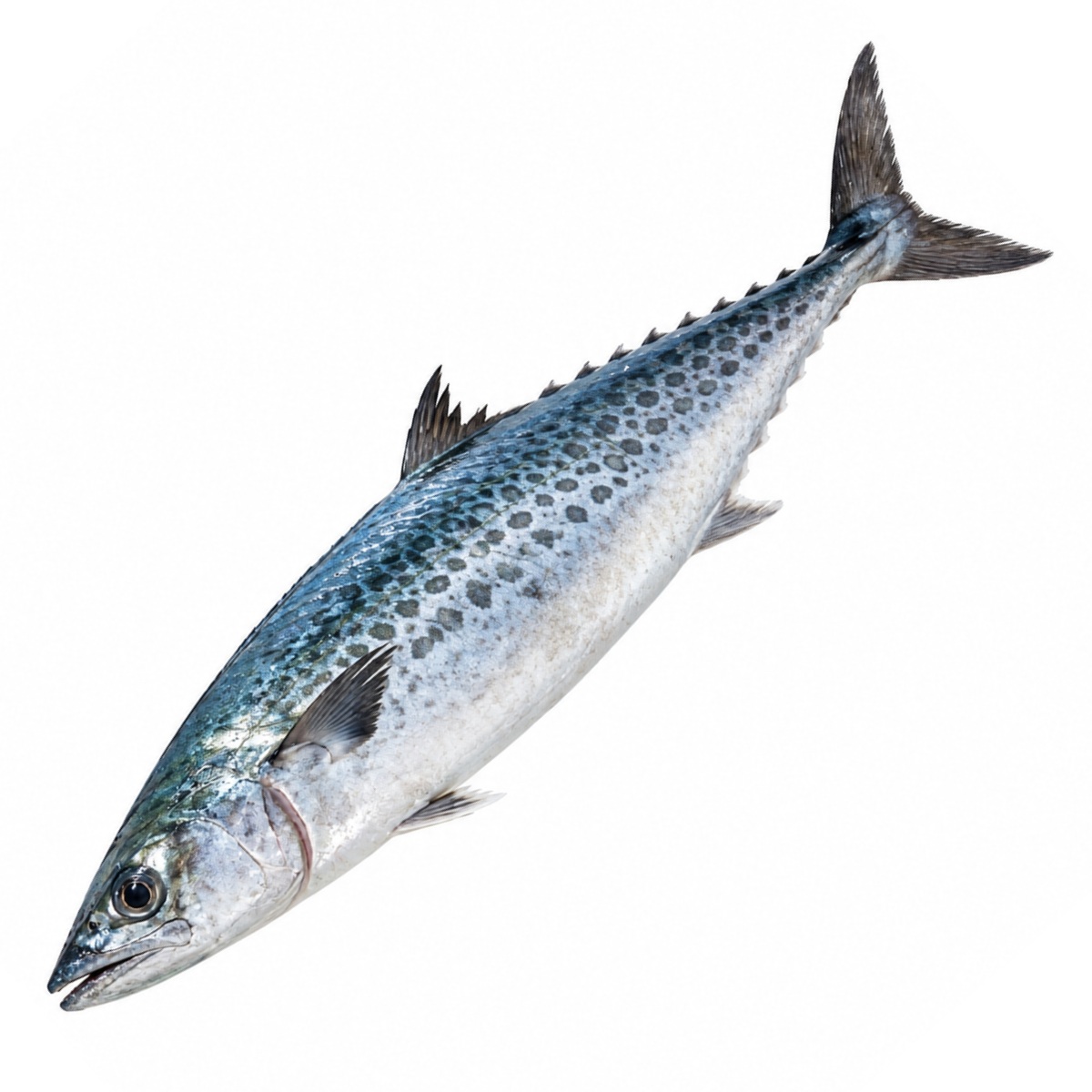 Sawara
