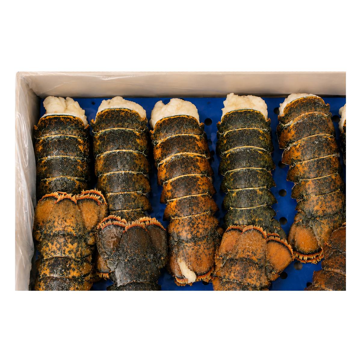Coldwater Lobster Tail (4/5oz)