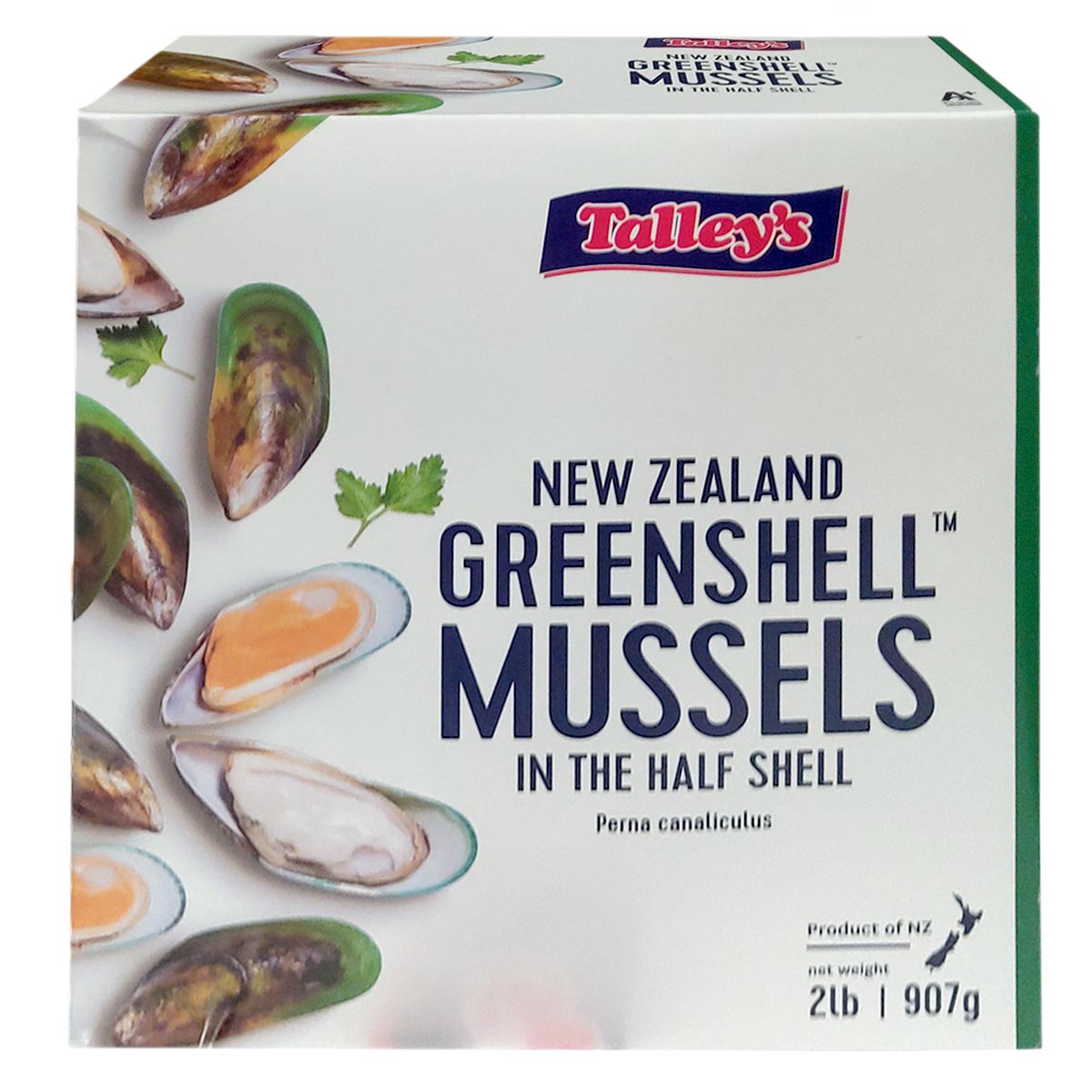 New Zealand Mussel