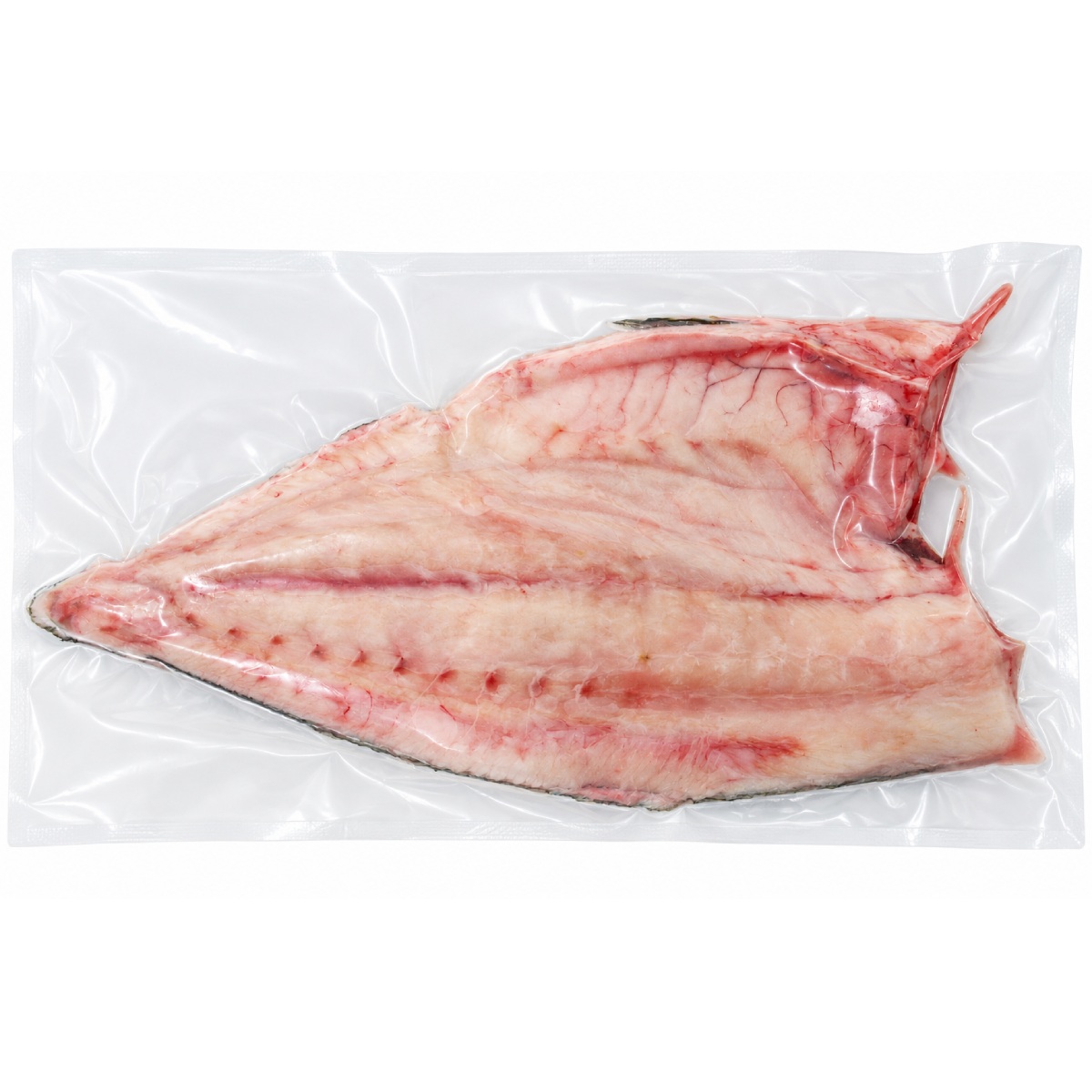 Frozen Kanpachi Fillet IVP